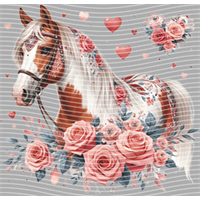 Valentine's Day-QRJ  5864